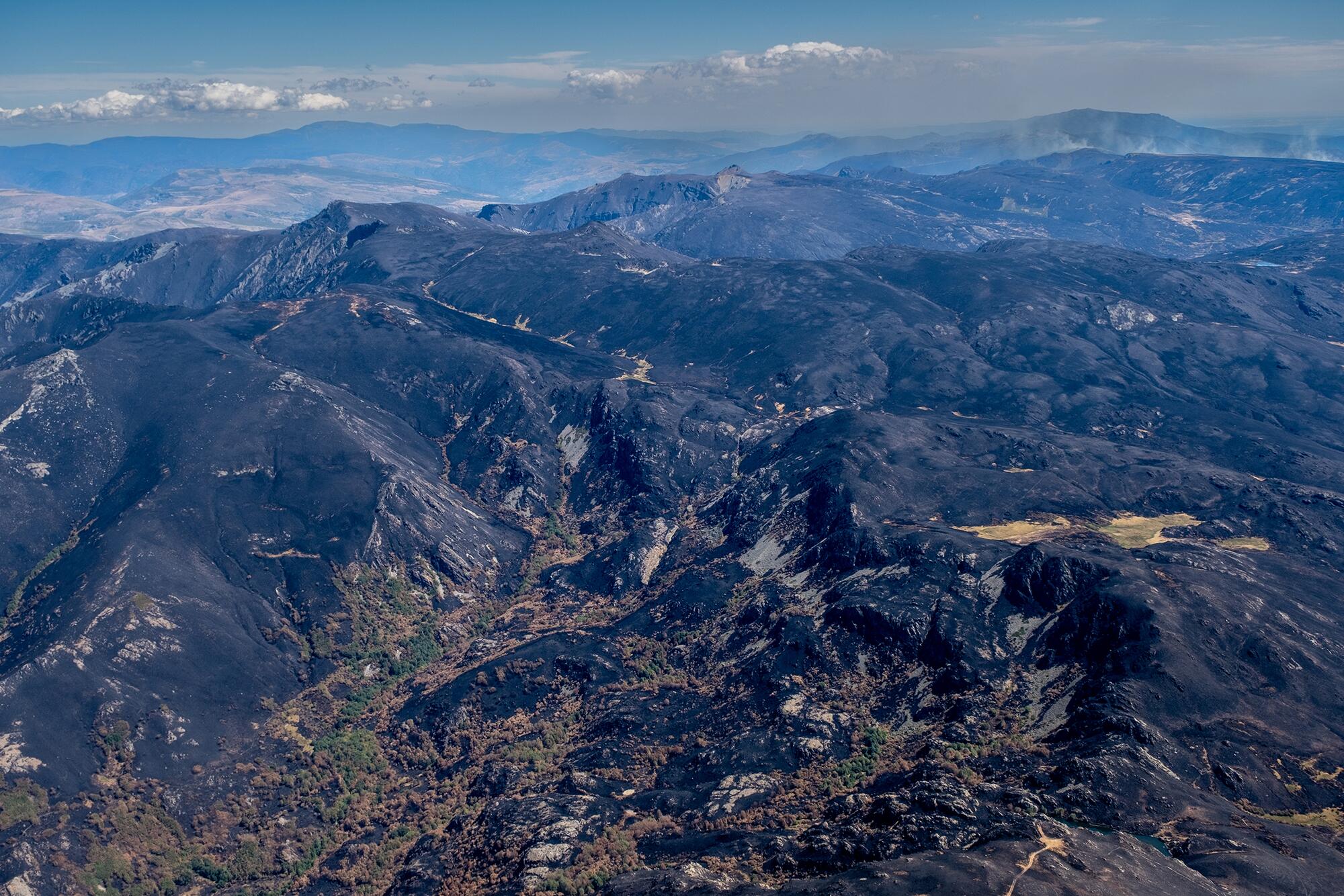 Incendios Greenpeace aereas - 7